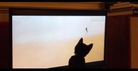 Rick the Cat watching surfing Rick the Cat watching surfing